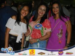 Festa do Bezerro Manhoso